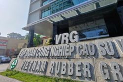 Tập đo&agrave;n C&ocirc;ng nghiệp Cao su Việt Nam b&aacute;o l&atilde;i 5 th&aacute;ng tăng hơn 30%, nhờ 3 động lực tăng trưởng ch&iacute;nh