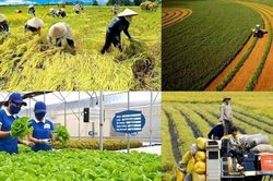 Nông nghiệp, môi trường: Cải cách thủ tục hành chính, tiết kiệm hàng nghìn tỷ đồng