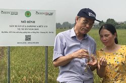Những cái bắt tay nâng tầm thương hiệu gạo hữu cơ Đồng Phú