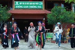 Thái Nguyên kết nối hệ sinh thái trà với du lịch trải nghiệm