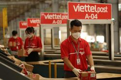 Viettel Post sắp phát hành gần 30 triệu cổ phiếu để trả cổ tức