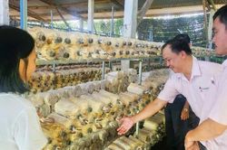 Ph&aacute;t triển sinh kế bền vững từ vốn ng&acirc;n h&agrave;ng