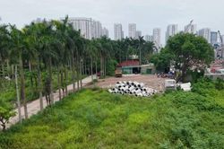 Bao giờ khu sinh thái Vĩnh Hưng hồi sinh?
