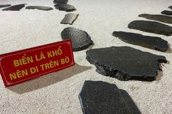Thước đo giữa trăm đường phật pháp