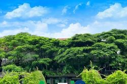 Mua vào 42,8 triệu cổ phiếu, Chủ tịch HĐQT Agris tăng mạnh tỷ lệ nắm giữ tại AgriS lên gần 12%
