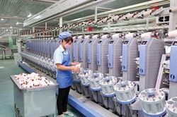 Cổ đông của Damsan (ADS) sắp nhận được hơn 76 tỷ đồng tiền trả cổ tức