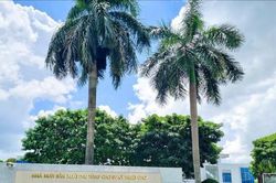 Sát ngày họp, Cao su Thống Nhất (TNC) bất ngờ thông báo hoãn ĐHĐCĐ thường niên 2026