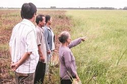 Kỷ niệm 50 năm Ngày thành lập Báo Công an TPHCM (15/6/1976 - 15/6/2026): Được minh oan nhờ… Báo Công an TPHCM (bài 3)