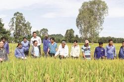 V&ugrave;ng đất Ch&iacute;n Rồng bước v&agrave;o kỷ nguy&ecirc;n mới