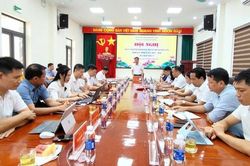Đảng bộ xã Đoài Phương thông qua Đề án sắp xếp thôn