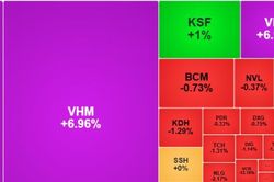 Cổ phiếu họ Vin bứt ph&aacute;, VN-Index tăng hơn 24 điểm