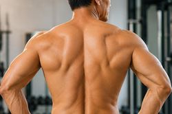 Chuỗi b&agrave;i tập 10 ph&uacute;t buổi tối gi&uacute;p tăng cường sức mạnh lưng sau tuổi 50