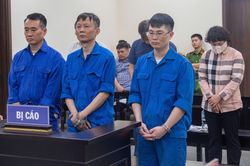 Nhóm cựu cán bộ phường nhận hối lộ lãnh án