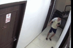 Thanh niên đá chết chú chó rồi bỏ vào thùng rác ở chung cư gây phẫn nộ
