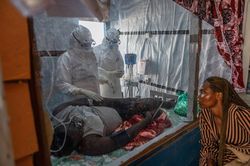 Ebola bùng phát mạnh hơn tại miền Đông CHDC Congo và Uganda