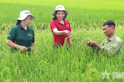 Mở rộng giá trị nông nghiệp qua xuất khẩu giống cây trồng