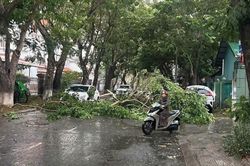 D&ocirc;ng lốc qu&eacute;t qua Huế khiến h&agrave;ng chục nh&agrave; d&acirc;n bị tốc m&aacute;i, nhiều c&acirc;y trồng bị hư hại