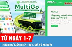 MultiGo d&ugrave;ng được cho c&aacute;c loại phương tiện c&ocirc;ng cộng n&agrave;o?
