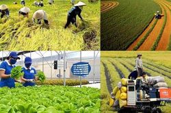 Nỗ lực trong cải c&aacute;ch thủ tục h&agrave;nh ch&iacute;nh lĩnh vực n&ocirc;ng nghiệp v&agrave; m&ocirc;i trường