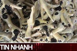 TIN NHANH: Kinh hoàng nguồn gốc và đường đi của hàng chục nghìn tấn chân gà đông lạnh nhập lậu