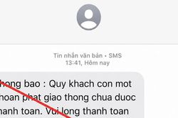 Cảnh báo bẫy lừa đảo từ tin nhắn vi phạm giao thông