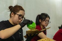 Gia đình 3 thế hệ tất bật làm gần 10.000 bánh ú bá trạng dịp tết Đoan ngọ