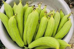 Loại quả d&acirc;n d&atilde; gi&uacute;p giải nhiệt m&ugrave;a h&egrave; v&agrave; 3 điều cần tr&aacute;nh khi ăn