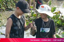 Bắt cá đồng, trải nghiệm thú vui mùa hè ở làng quê