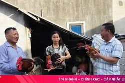 Giúp người nghèo ở Đông Kinh cải thiện cuộc sống