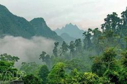 Phát triển Vườn Quốc gia Xuân Sơn thành điểm du lịch sinh thái trọng điểm