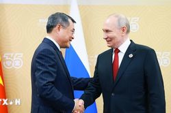 Thủ tướng Lê Minh Hưng hội kiến Tổng thống Nga Vladimir Putin