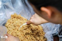 Thành phố Hồ Chí Minh: Thị trường Tết Đoan Ngọ sôi động, sức mua tăng mạnh