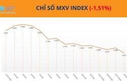 Giá bạc lao dốc hơn 6%, MXV-Index mất hơn 1,5%