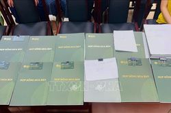 Vụ lừa đảo kỳ nghỉ dưỡng: Người cao tuổi đã mất, người thừa kế vẫn có quyền yêu cầu hoàn trả tài sản