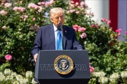 Tổng thống Trump nêu kỳ vọng ở Trung Đông khiến giá dầu giảm về mức thấp nhất nhiều tháng