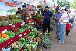Tôn vinh và quảng bá nông sản bản địa qua Ngày hội sông nước miệt vườn