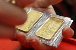 Thị trường v&agrave;ng v&agrave; b&agrave;i học về t&acirc;m l&yacute; đầu tư theo phong tr&agrave;o