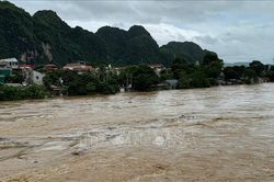 Thanh H&oacute;a: Kh&ocirc;ng để bị động, bất ngờ trong mọi t&igrave;nh huống thi&ecirc;n tai