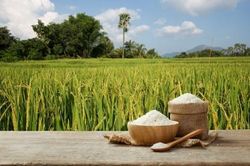 Tưới ngập khô xen kẽ, giải pháp giảm phát thải khí mê-tan trong canh tác lúa nước