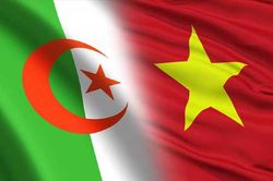 T&iacute;n hiệu t&iacute;ch cực trong hợp t&aacute;c dầu kh&iacute; Việt Nam - Algeria