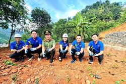 Sắc xanh bên lòng hồ thượng nguồn - 'Gieo mầm hôm nay, kiến tạo tương lai'