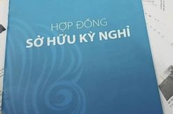 Sở hữu kỳ nghỉ: Doanh nghiệp không thể phủi bỏ trách nhiệm bằng cách đổ lỗi cho nhân viên