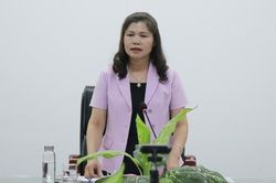 HĐND tỉnh Bắc Ninh giám sát việc thực hiện chính sách phát triển nhà ở xã hội