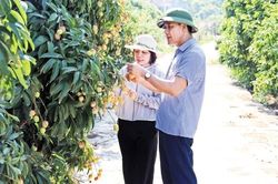 Bắc Ninh hướng về th&agrave;nh phố tương lai