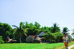 Xu xoa chị b&aacute;n mấy đồng...