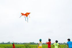 Gặp lại c&aacute;nh diều thuở b&eacute;