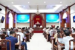 Đồng Th&aacute;p: Lắng nghe, th&aacute;o gỡ kh&oacute; khăn cho doanh nghiệp xuất khẩu