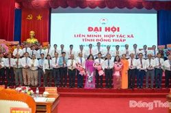 Đồng ch&iacute; L&ecirc; Quang Cường giữ chức Chủ tịch Li&ecirc;n minh Hợp t&aacute;c x&atilde; tỉnh Đồng Th&aacute;p, nhiệm kỳ 2025 - 2030
