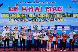 350 con diều nghệ thuật hội tụ trên bầu trời Quy Nhơn
