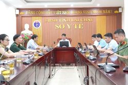 Hội nghị quán triệt, phổ biến, tuyên truyền Luật Dân số